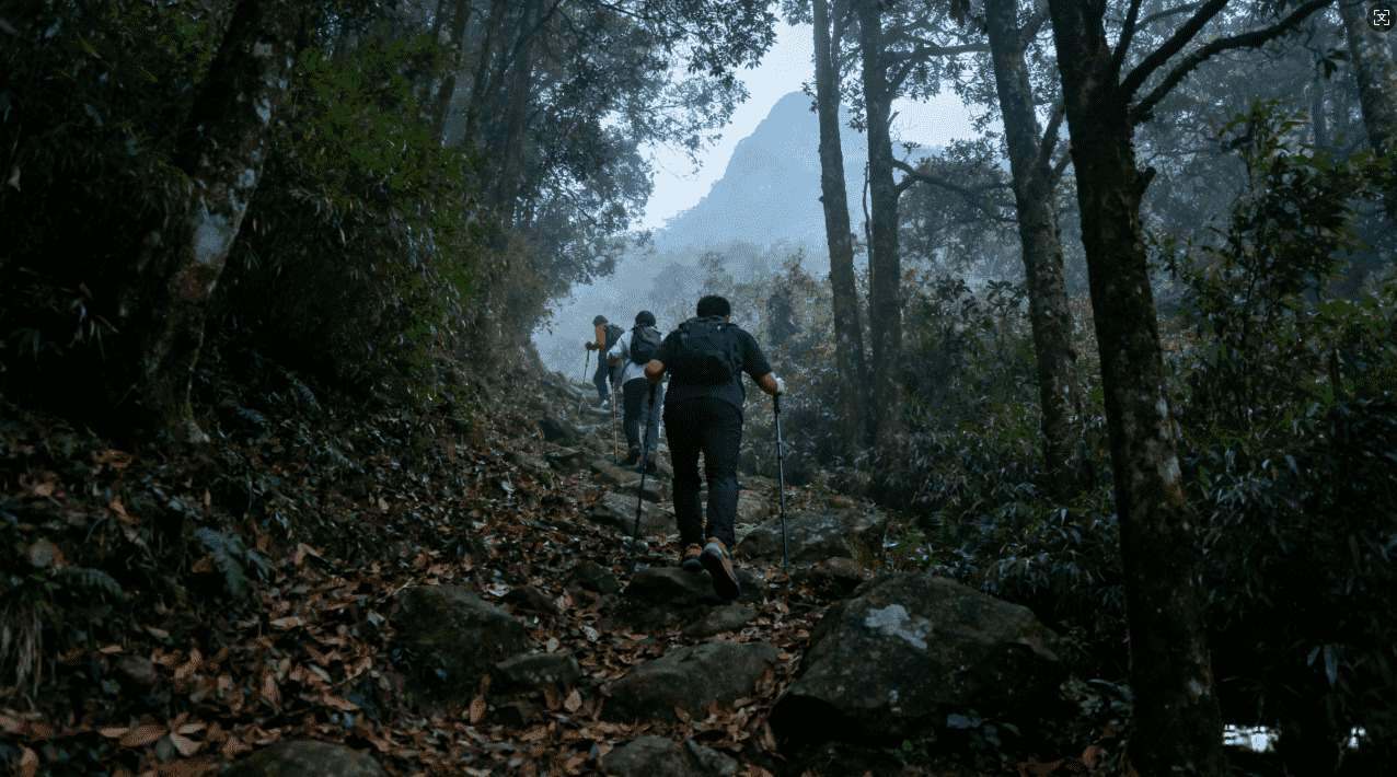 快速访问蜜蜂加速器链接教程